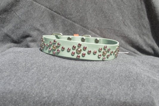 Adventure 1" Biothane Dog Collar