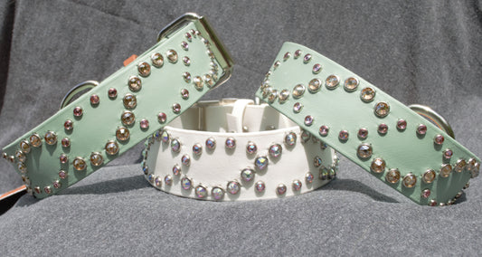 Genetics 1.5" Biothane Dog Collar