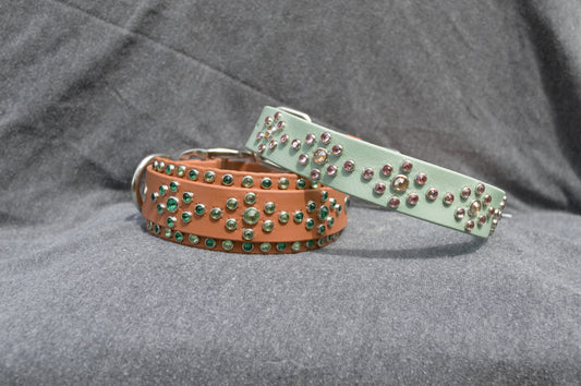 Adventure 1" Biothane Dog Collar
