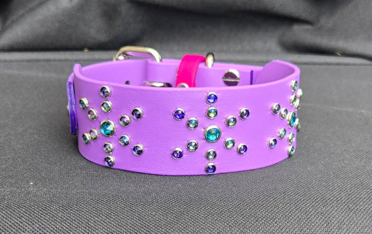 Star Gazing 1.5" Biothane Dog Collar
