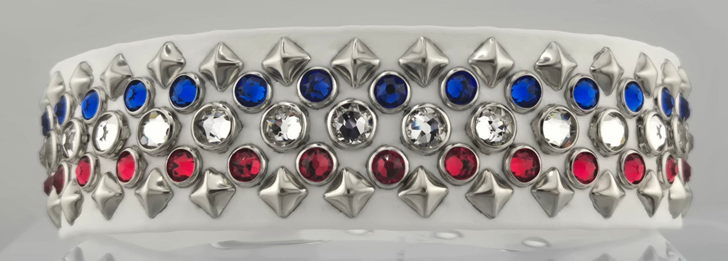 Majesty 1.5" Biothane Dog Collar